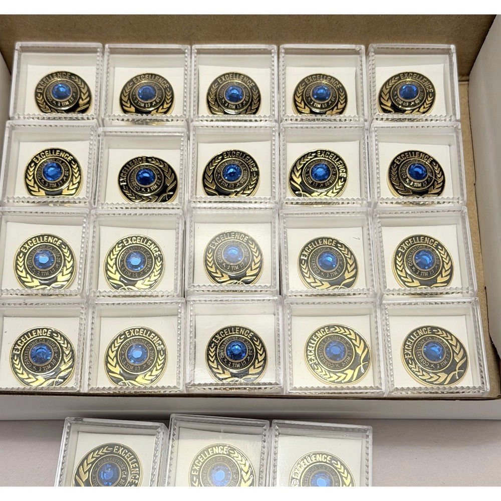 Award Pin Excellence Recognition LOT 25 Teacher Gift Student Classroom Rare Pins